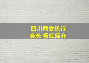 四川商会执行会长 杨斌简介